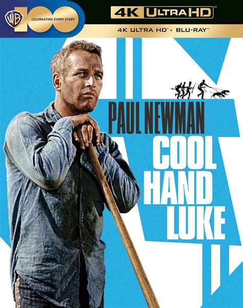 cool hand luke torrent